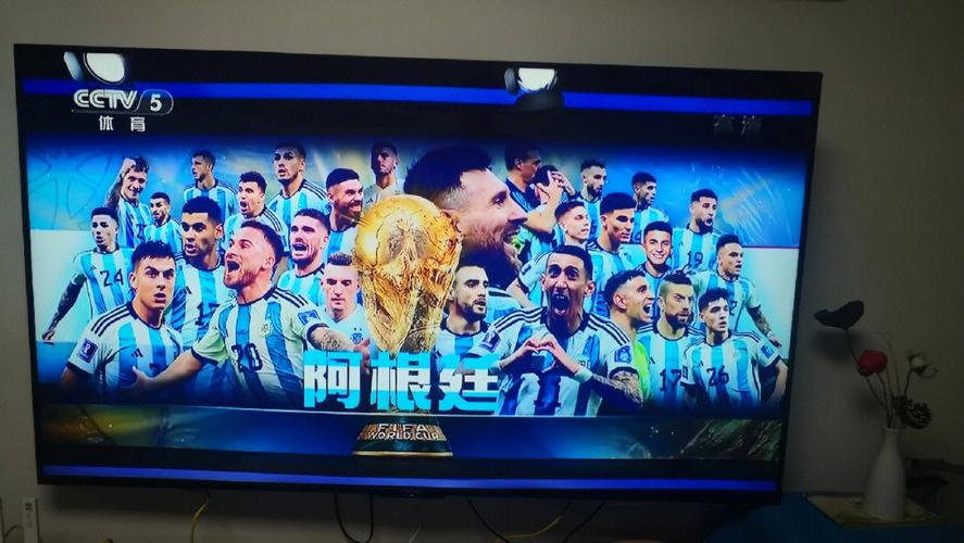 阿根廷vs阿联酋足球直播在线观看